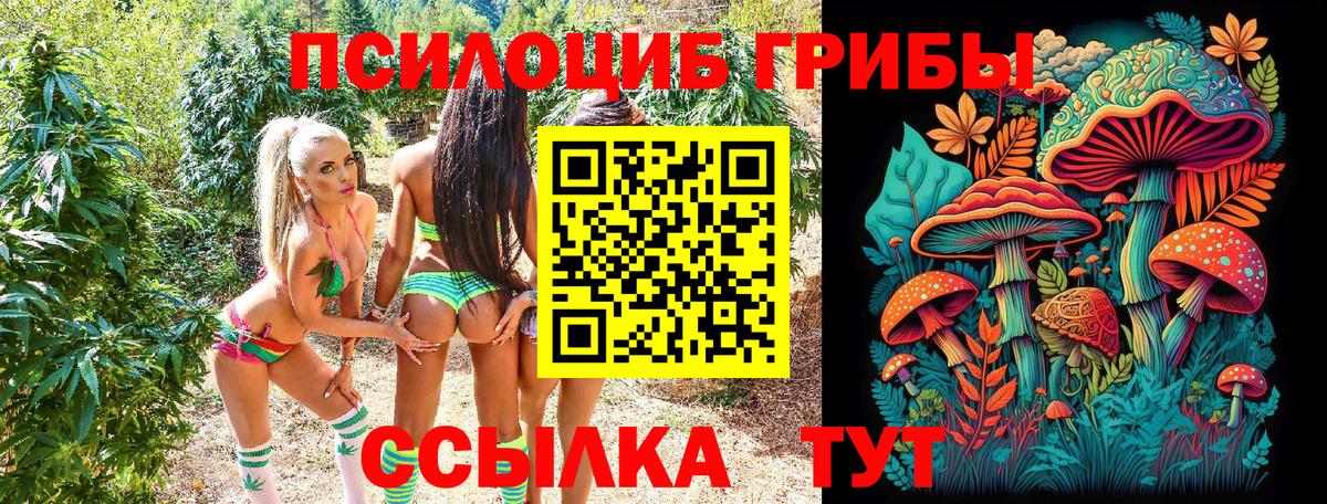 Галлюциногенные грибы GOLDEN TEACHER Кандалакша
