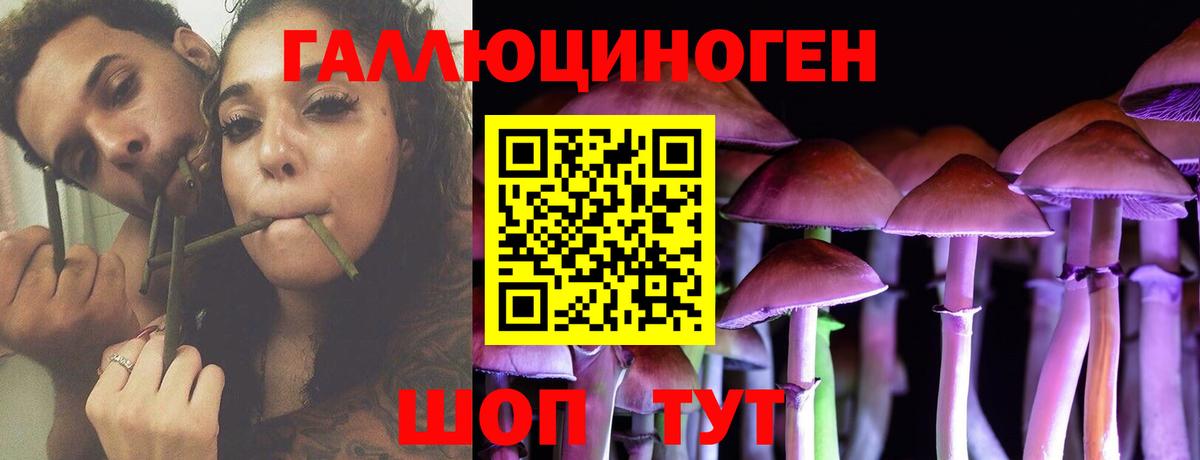 Кандалакша  Галлюциногенные грибы GOLDEN TEACHER  Вход с VPN 